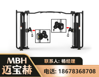 德宏大飞鸟训练器